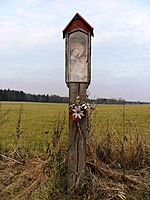 Dřevěná boží muka za Stříbcem | Kapličky Třeboňsko | MAS Třeboňsko